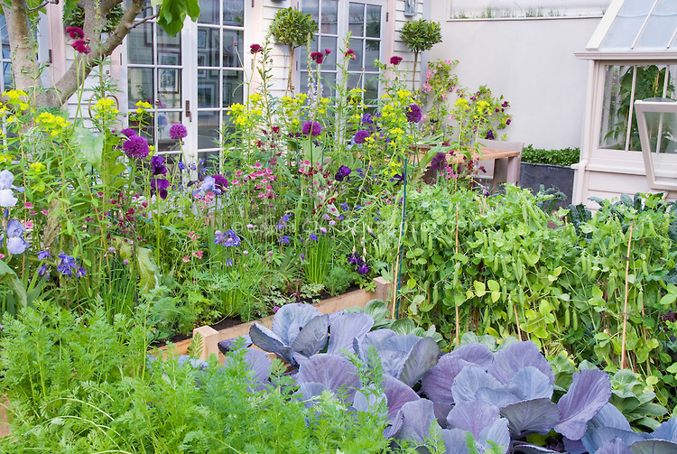 Beautiful vegetable and flower garden, Vegetables, carrots, peas, cabbages, flowers, ireises, house, patio, greenhouse, in lush growing together intermixed