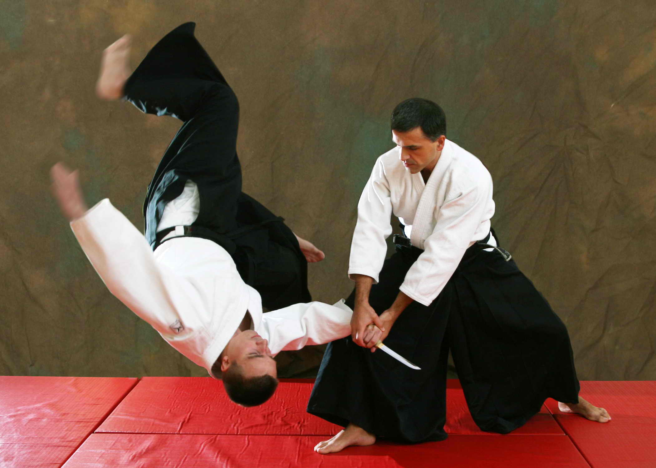 Best Martial Arts for Street Fighting - Akido