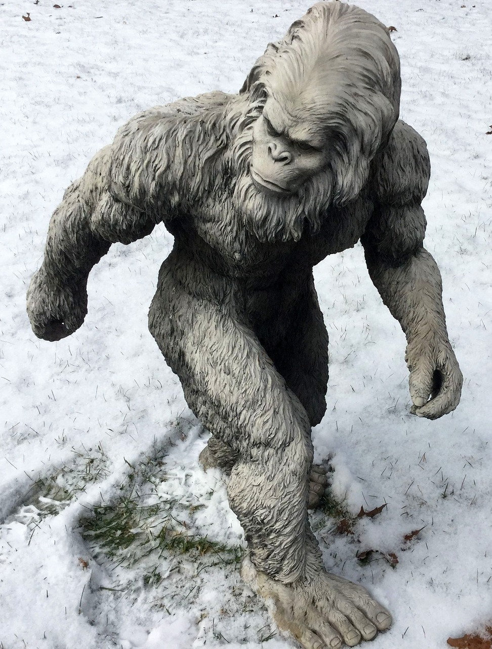 bigfoot-Supernatural Creatures