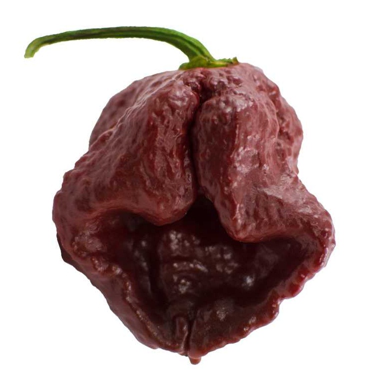 7 Pot Douglas -hottest pepper in the world